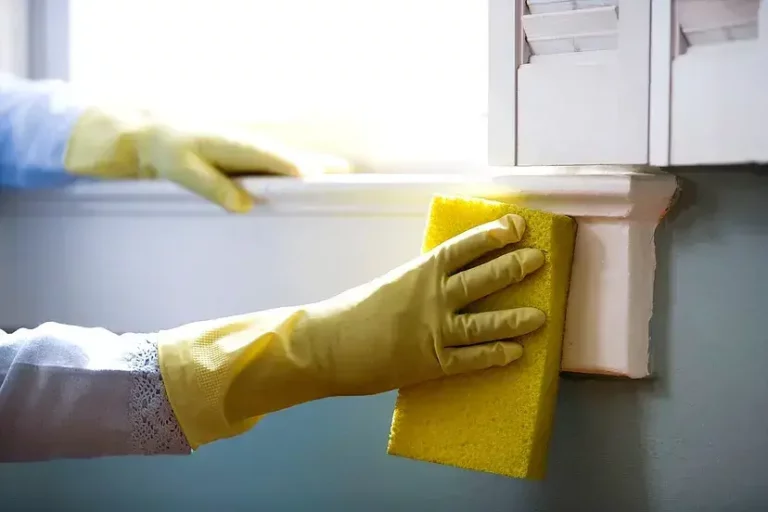Expert Tips on how to start a cleaning business in Ontario