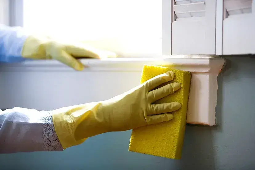 how to start a cleaning business in ontario